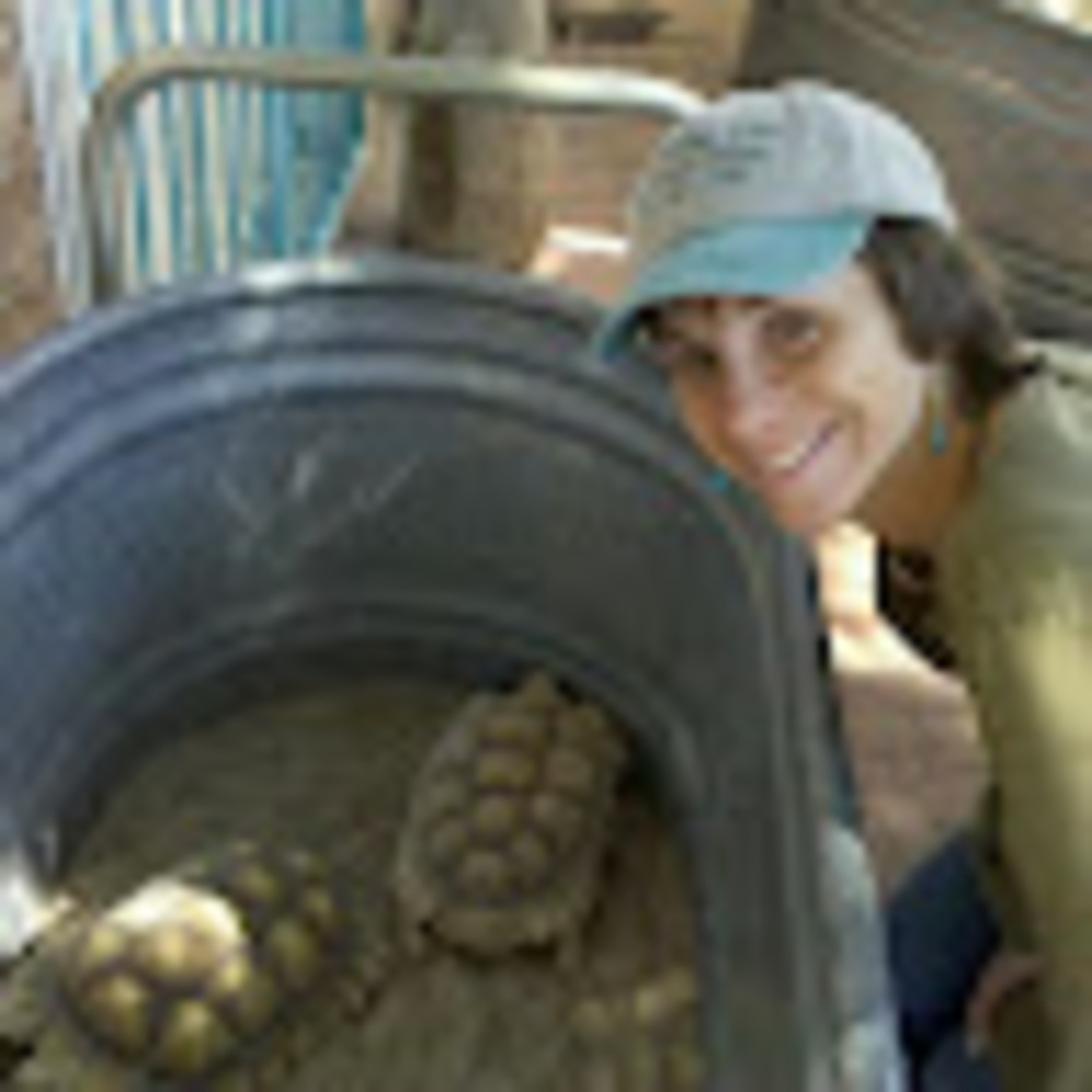 Meet your Posher, Marianne